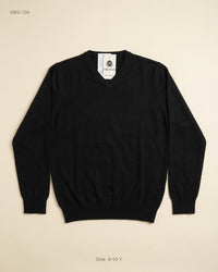George (KBS-104) V-Neck Knit Sweater