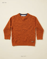 H&M (KBS-189) Waffle Knit Sweater