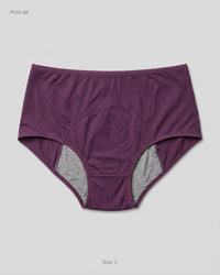 Unknown (PUG-38) High-Waist Period Briefs