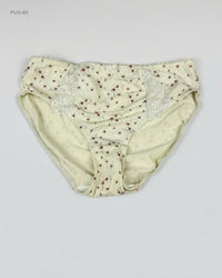 UNKNOWN (PUG-60) Full Briefs
