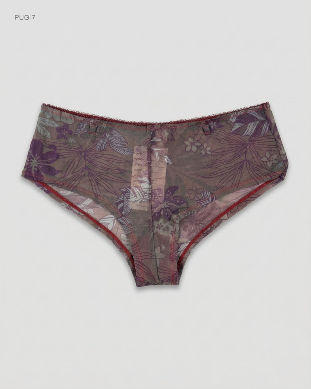 ETAM (PUG-7) Mesh Hipster Panties