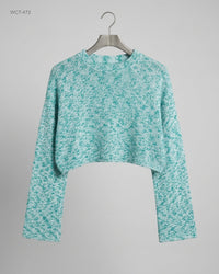 H&M (WCT-472) Cropped Knit Sweater