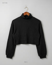 SHEIN (WCT-508) Cropped Ribbed Turtleneck Top